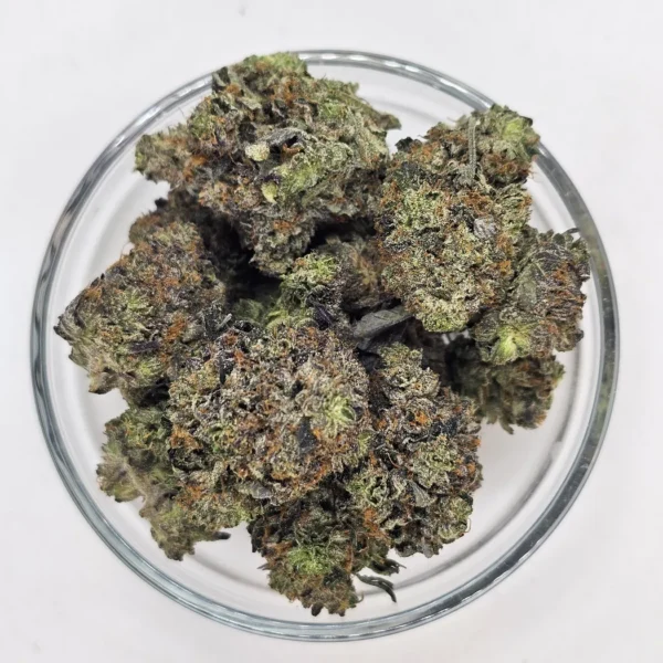 604 Gas (Gas) — Flower