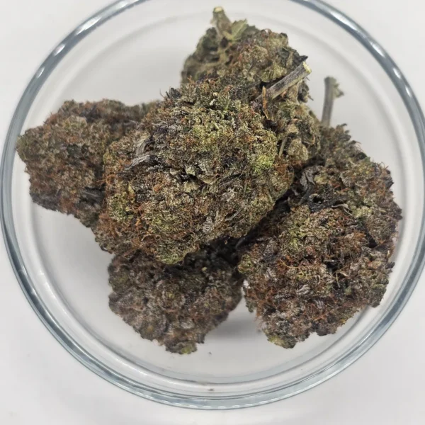Black Tuna (Gas) — Flower