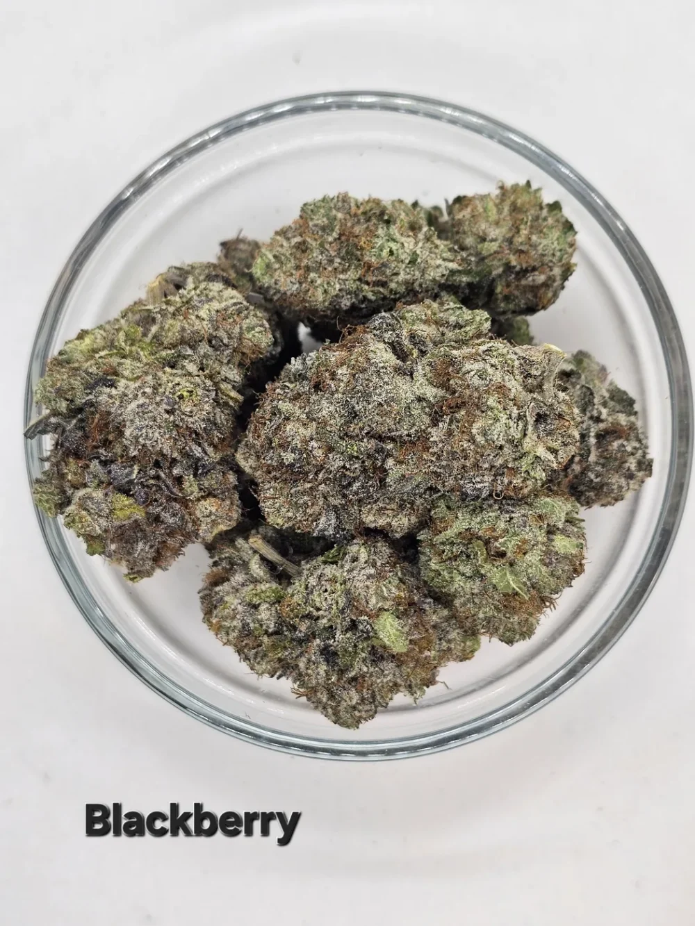 Blackberry — Flower