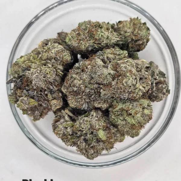 Blackberry — Flower