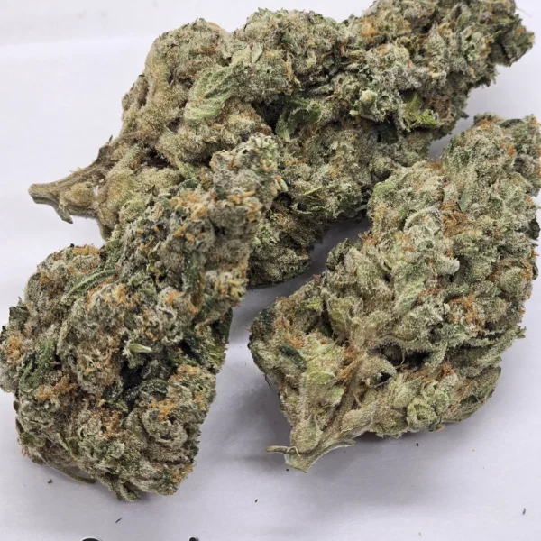 Cosmic Cream — Flower