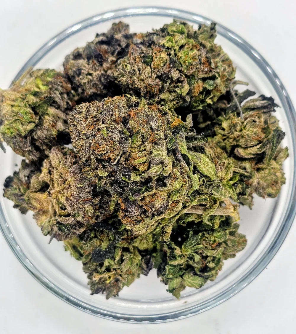 Fred Flipin' Stoned — Flower
