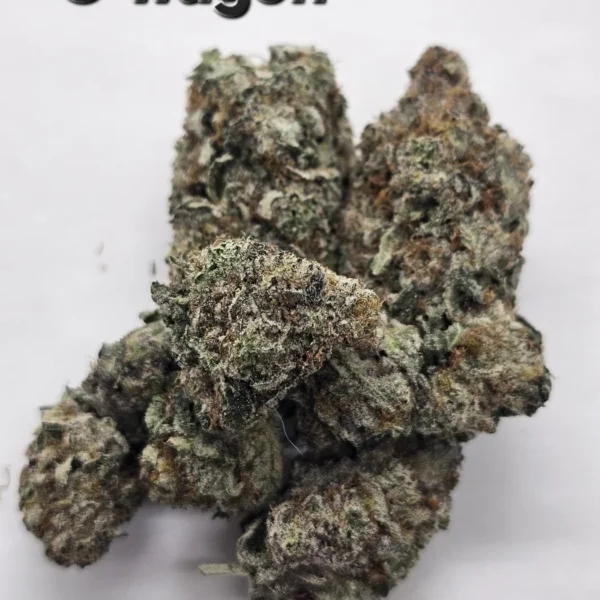 G Wagon — Flower