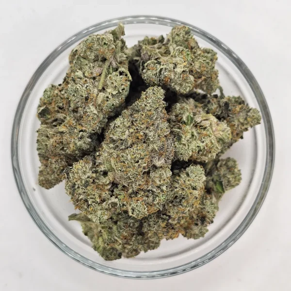 Purple Dragon — Flower