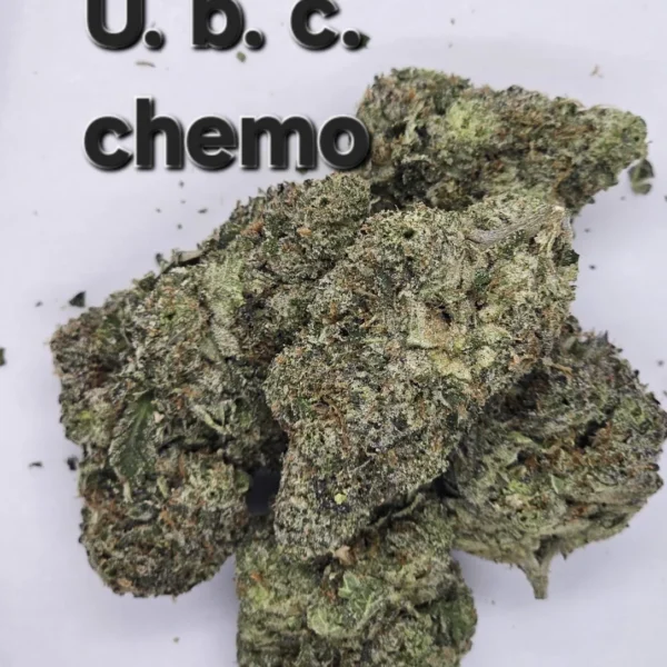 UBC Chemo — Flower